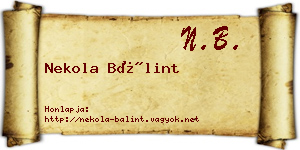 Nekola Bálint névjegykártya