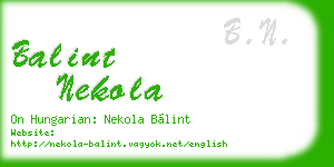 balint nekola business card