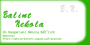 balint nekola business card